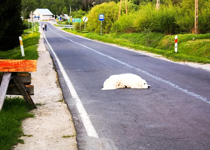 Kremenaros